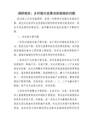 调研报告：乡村振兴发展当前面临的问题