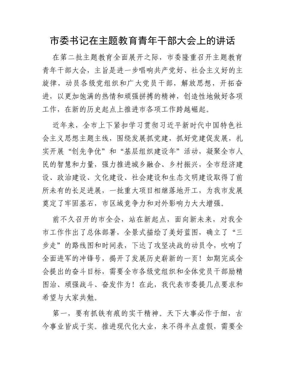 市委书记在主题教育青年干部大会上的讲话_第1页