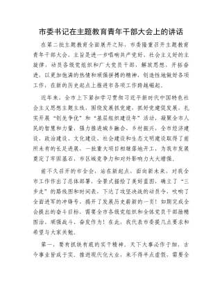 市委书记在主题教育青年干部大会上的讲话