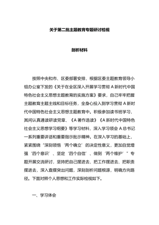 关于第二批主题教育专题研讨检视剖析材料