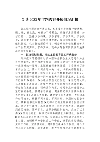 X县2023年主题教育开展情况汇报