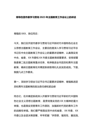 领导在团市委学习贯彻2023年主题教育工作会议上的讲话