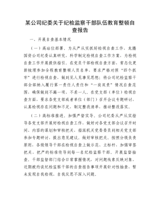 某公司纪委关于纪检监察干部队伍教育整顿自查报告
