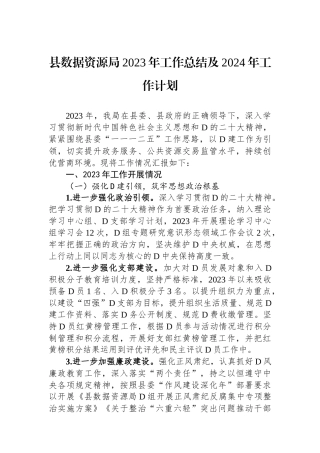 县数据资源局2023年工作总结及2024年工作计划