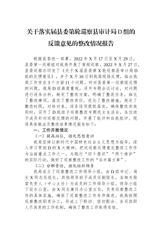 关于落实届县委第轮巡察县审计局党组的反馈意见的整改情况报告