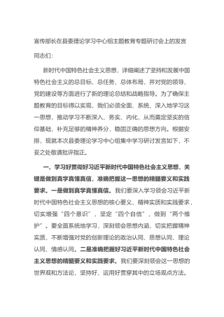 宣传部长在县委理论学习中心组主题教育专题研讨会上的发言