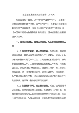 巡察整改进展情况工作报告（局机关）