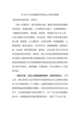 在2023年全县重阳节茶话会上的讲话提纲