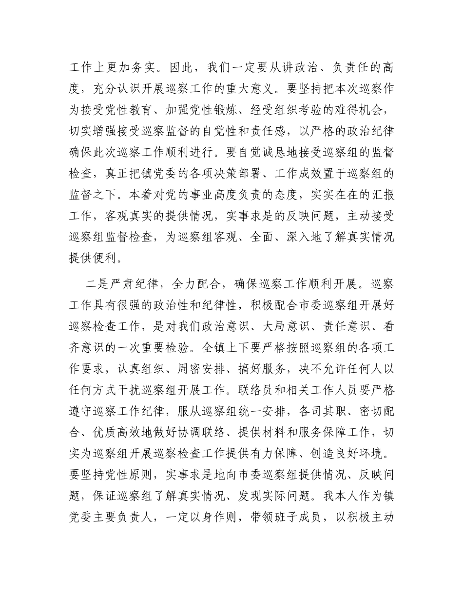 某乡镇党委书记在巡察工作动员会上的表态发言_第2页