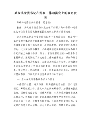 某乡镇党委书记在巡察工作动员会上的表态发言