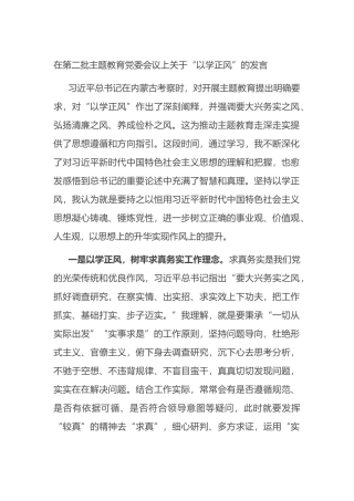 在第二批主题教育党委会议上关于
