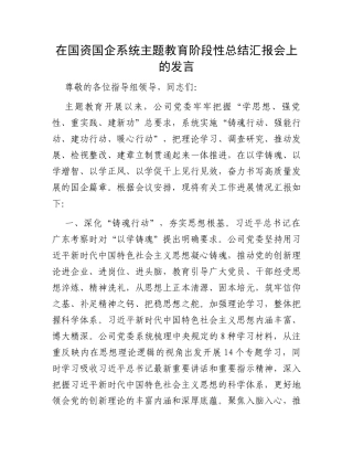 在国资国企系统主题教育阶段性总结汇报会上的发言