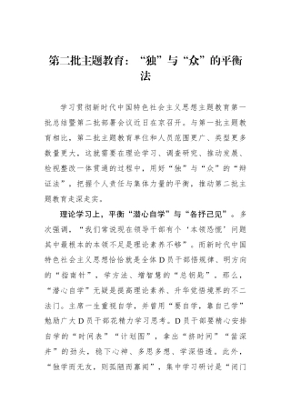 第二批主题教育：“独”与“众”的平衡法