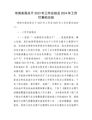 市商务局关于2023年工作总结及2024年工作打算的总结