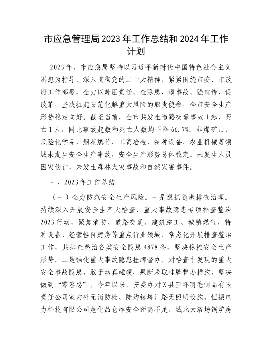 市应急管理局2023年工作总结和2024年工作计划_第1页