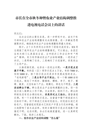 市长在全市秋冬种暨农业产业结构调整推进电视电话会议上的讲话