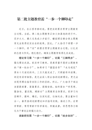 第二批主题教育需“一步一个脚印走”