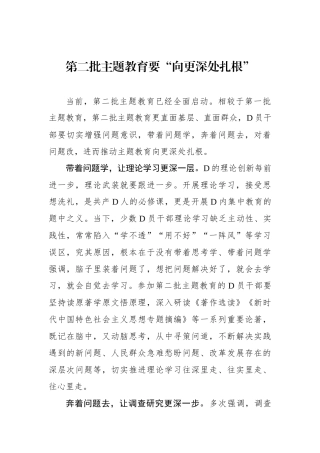 第二批主题教育要“向更深处扎根”