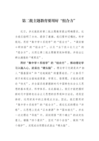 第二批主题教育要用好“组合方”