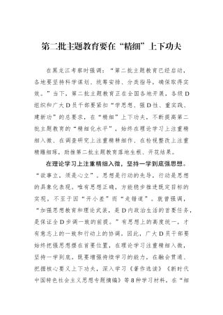 第二批主题教育要在“精细”上下功夫