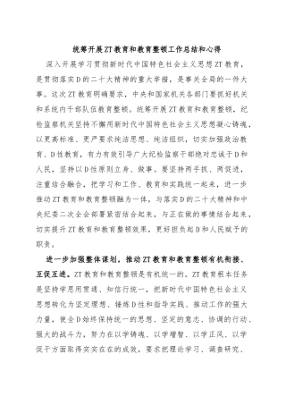 统筹开展主题教育和教育整顿工作总结和心得