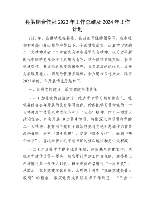 县供销合作社2023年工作总结及2024年工作计划