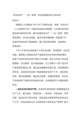 在安全生产“一法一条例”执法检查座谈会上的讲话