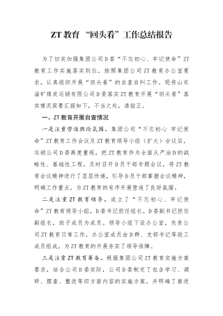 主题教育回头看工作总结报告