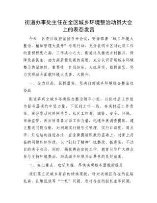 街道办事处主任在全区城乡环境整治动员大会上的表态发言