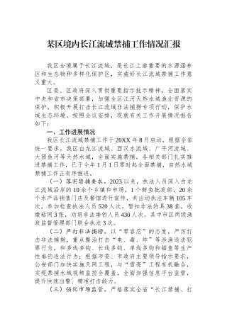 某区境内长江流域禁捕工作情况汇报