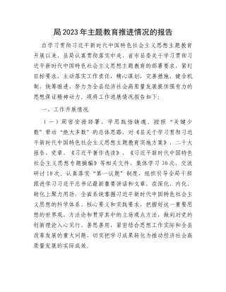 局2023年主题教育推进情况的报告