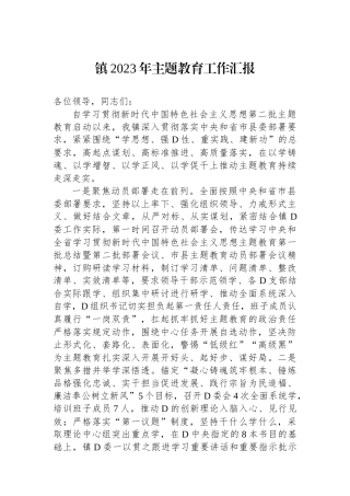 镇2023年主题教育工作汇报