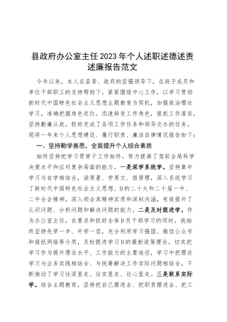 政府办公室主任2023年个人述职述德述责述廉报告工作总结汇报政