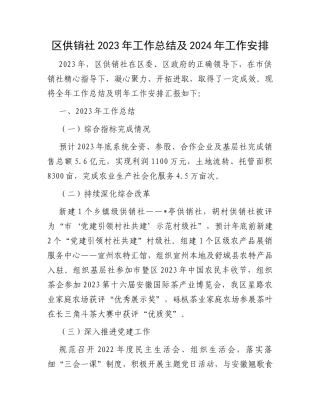 区供销社2023年工作总结及2024年工作安排