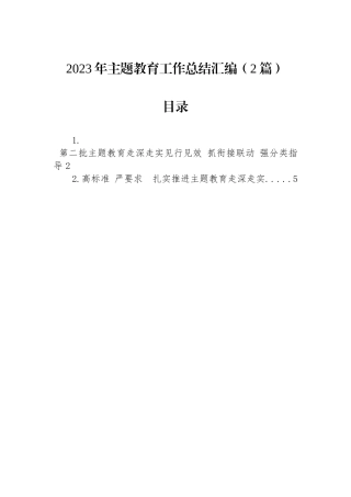 2023年主题教育工作总结汇编（2篇）