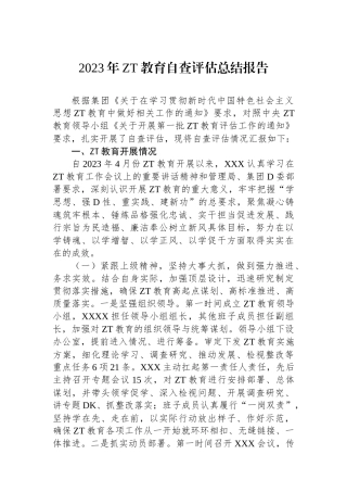 2023年主题教育自查评估总结报告