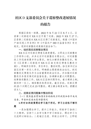社区党支部委员会关于巡察整改进展情况的报告