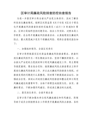 区审计局廉政风险排查防控自查报告