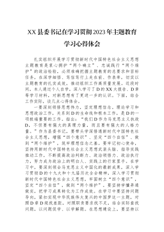 XX县委书记在学习贯彻2023年主题教育学习心得体会