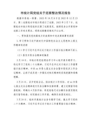 市统计局党组关于巡察整改情况报告
