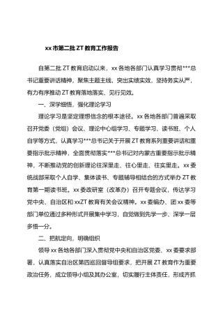 X市第二批主题教育工作报告