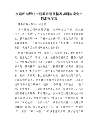 在巡回指导组主题教育进展情况调研座谈会上的汇报发言