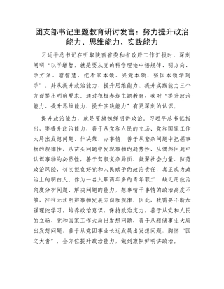 团支部书记主题教育研讨发言：努力提升政治能力、思维能力、实践能力
