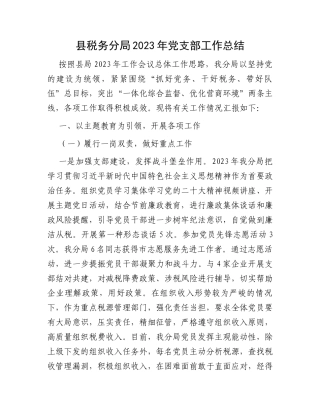 县税务分局2023年党支部工作总结