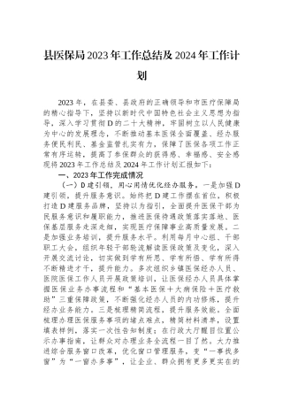 县医保局2023年工作总结及2024年工作计划