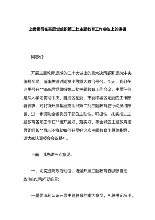 上级领导在基层党组织第二批主题教育工作会议上的讲话