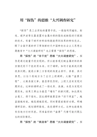 用“探伤”的思维“大兴调查研究”