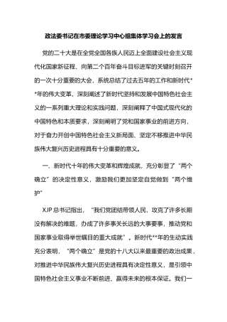 政法委书记在市委理论学习中心组集体学习会上的发言