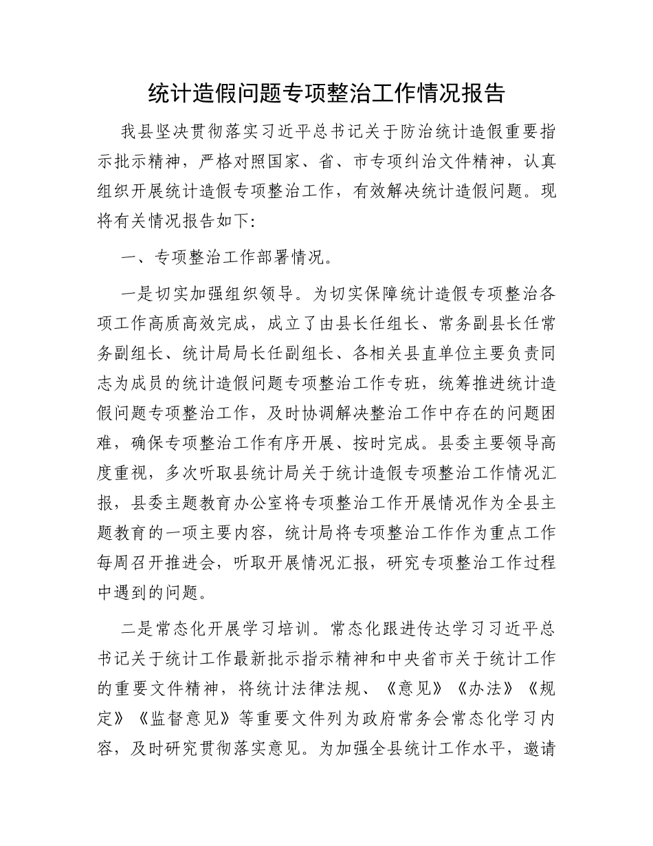 统计造假问题专项整治工作情况报告_第1页