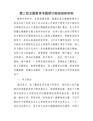 第二批主题教育专题研讨检视剖析材料